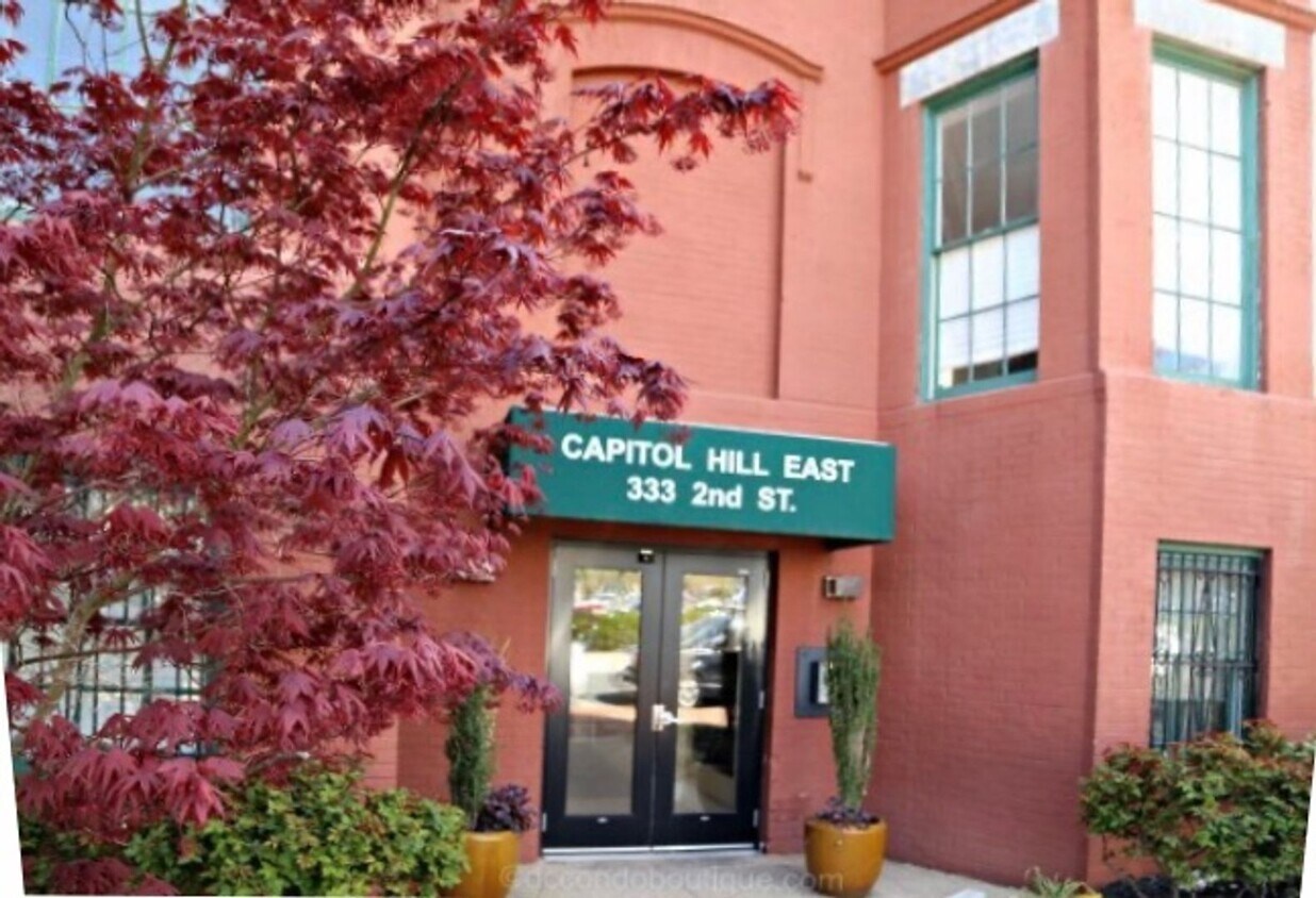 Foto principal - Capitol Hill 1B/ 1B with a View of The Har...
