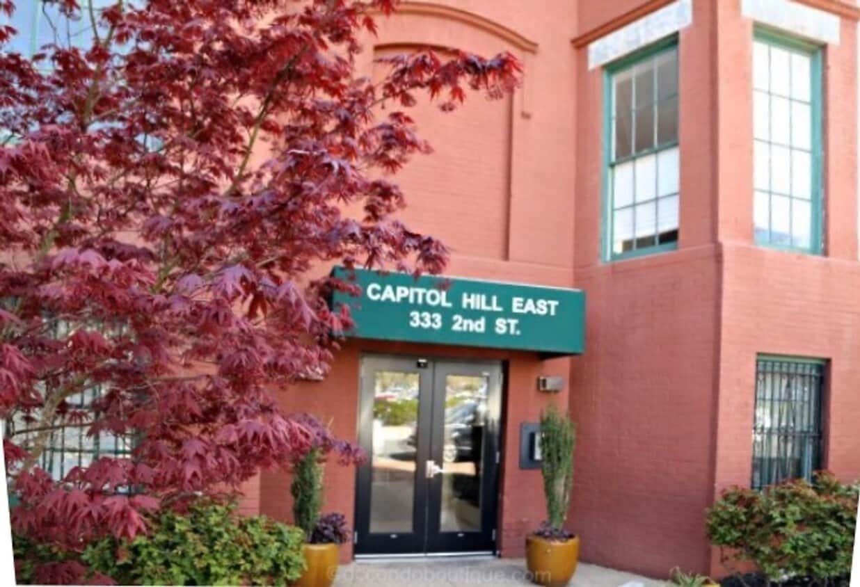 Capitol Hill 1B/ 1B with a View of The Har... - Capitol Hill 1B/ 1B with a View of The Har...