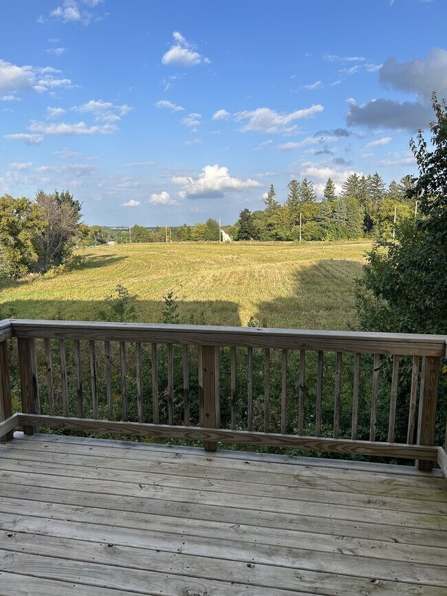 Building Photo - 1035 Petra Ct SW