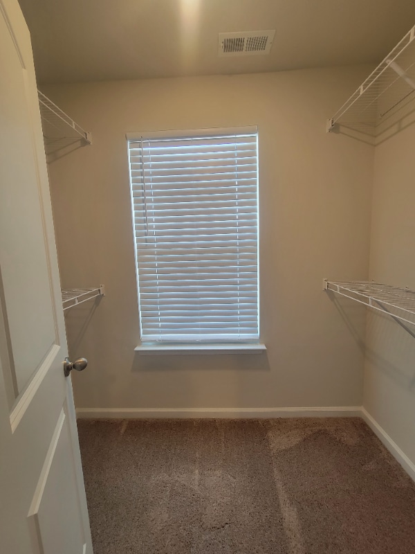 Building Photo - 1511 Auckland Ct