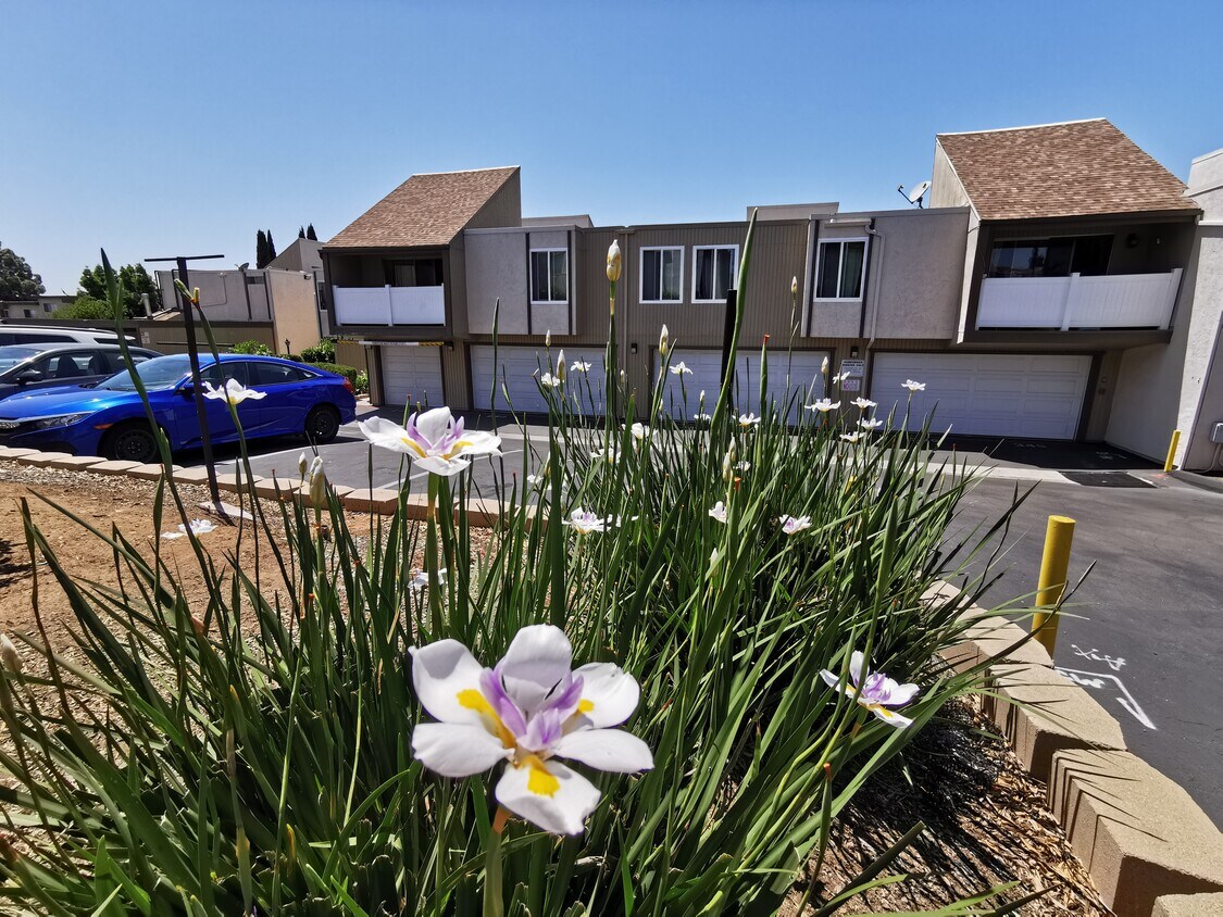 8036 Linda Vista Rd, San Diego, CA 92111 Apartments in San Diego, CA