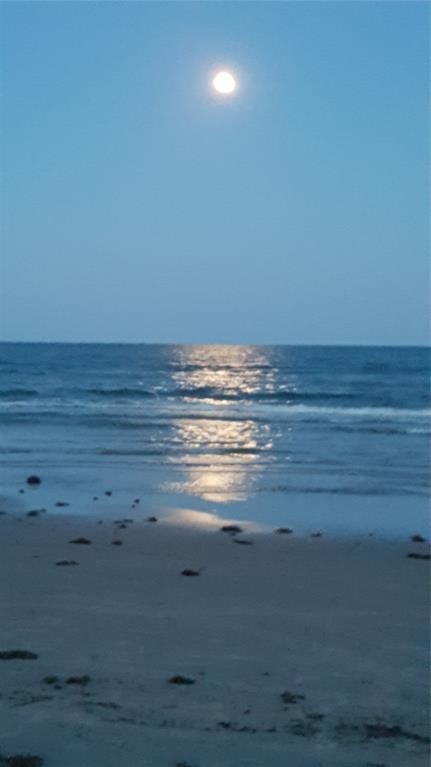 Foto del edificio - 13225 Gulf Beach Dr