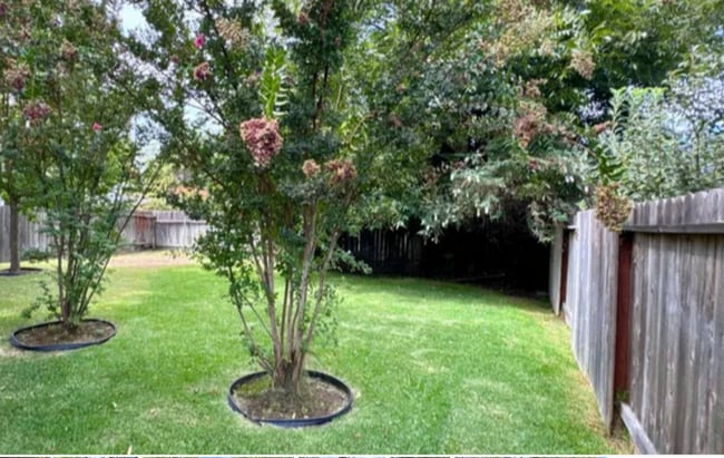 Building Photo - Cute As A Bug 2/1 Tahoe Park Gem!  Please read entire ad for viewings.