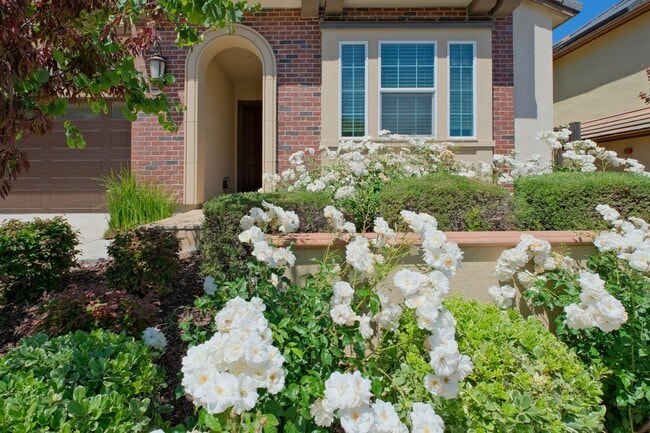 Building Photo - 6536 Terrace Ridge Ct