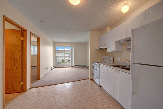 A large open kitchen with white cabinets - Aspen Terrace