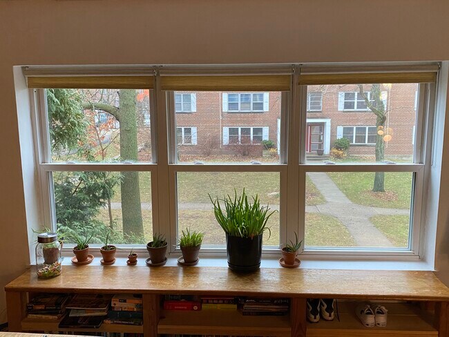 Excellent Light - 25 Sherman Ter