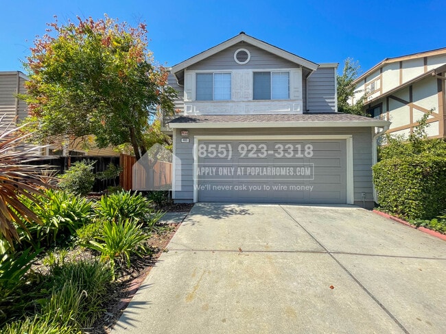 Building Photo - 483 Folsom Cir