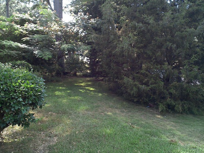 Foto del edificio - **UPCOMING**East Columbus 3 bedroom/1 bath...