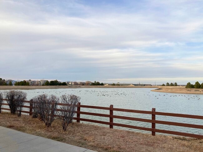 Lake View - 15949 Longford Dr