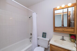Studio - 470SF - Bathroom - Dakota View Estates