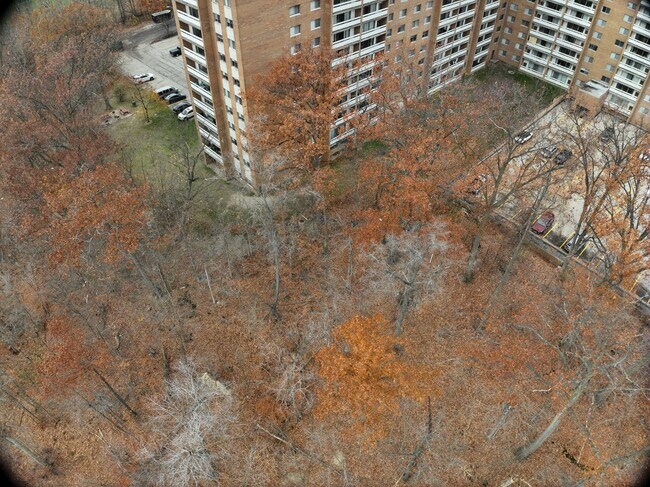 Exterior 3D - Pine Ridge Apartments