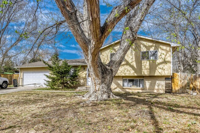 Foto del edificio - Spacious Cul-de-Sac Home Near CSU