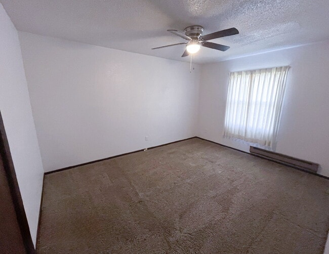 Building Photo - 2-3 3 Michael St