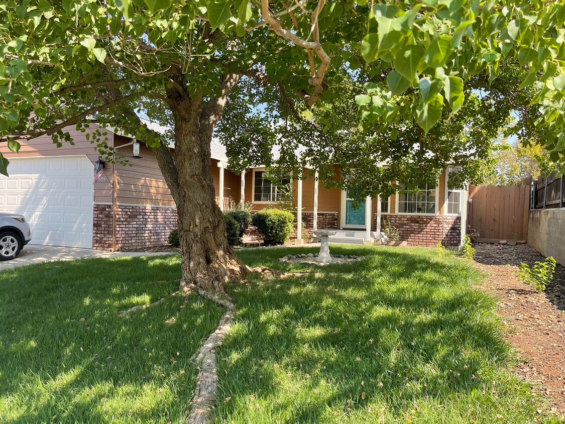 1135 Jennifer Lynn Dr, Red Bluff, CA 96080 House for Rent in Red