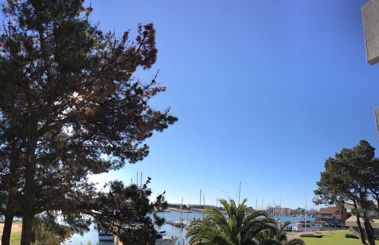 View from 100sq ft Balcony - 1 Embarcadero West