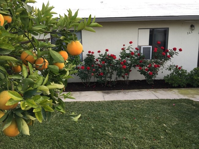 Foto del edificio - 263 N Florence St