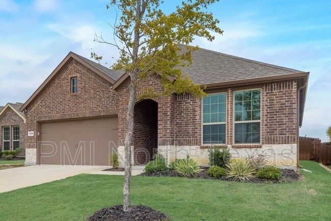 Building Photo - 3509 Comal Dr