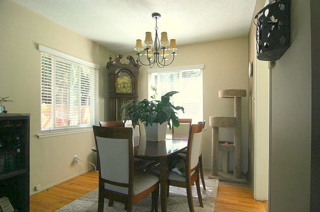 Building Photo - 3 br, 1 bath House - 2126 Havemeyer Lane