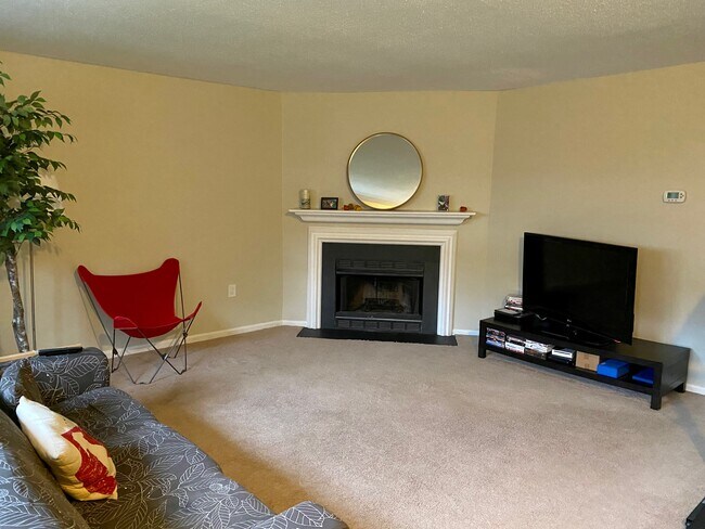 Large Living Room with fireplace (non-working)) - E15 Carver Place
