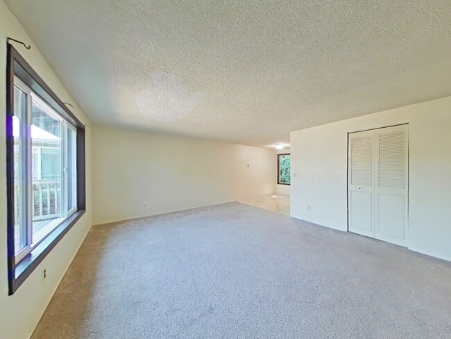 Foto del edificio - 2 Bedroom Apartment ~ Albany ~ Small Pet F...