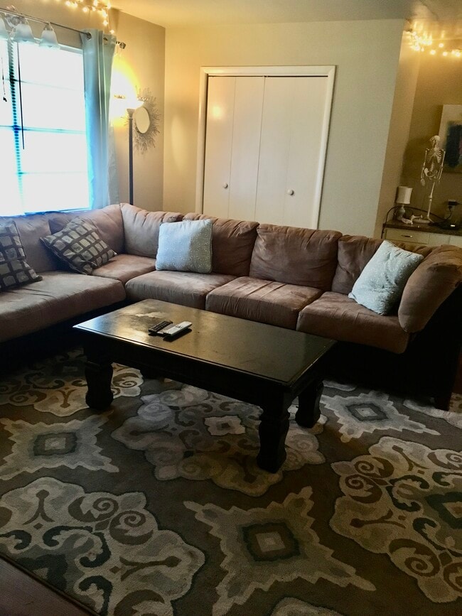 Larger closet in living area - 217 Mitchell St