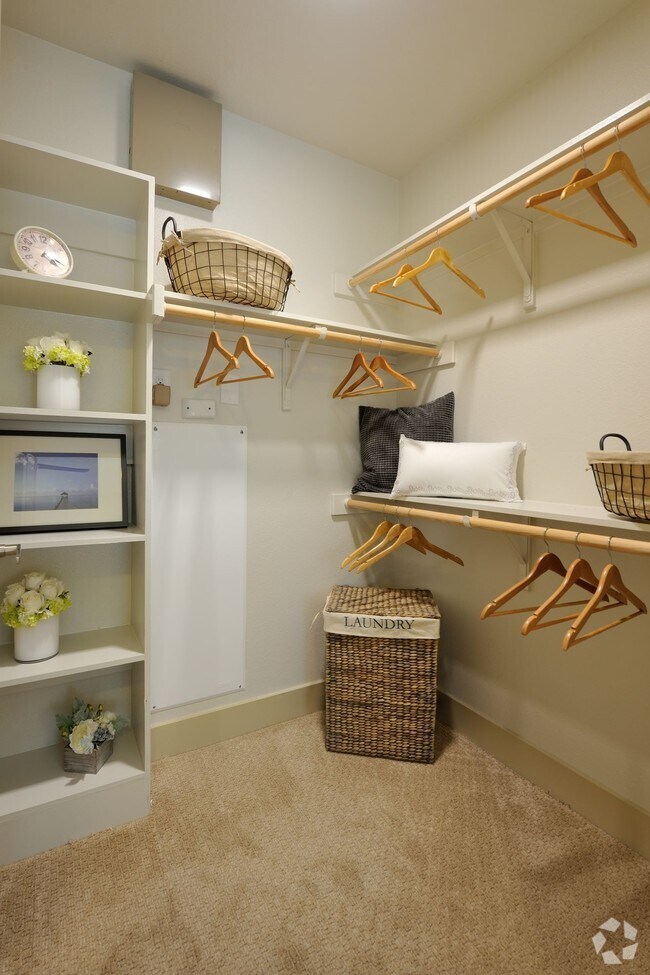 Apartments for Rent Near University of Texas at Austin Austin Campus