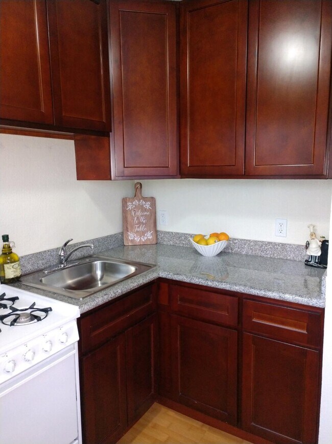 Granite Kitchen Countertops and Updated Cabinetry - 235 Escobar St