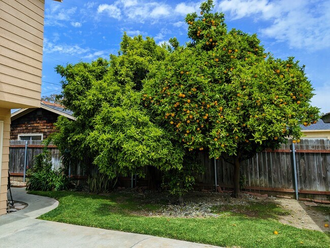Building Photo - 3723 Locust Ave