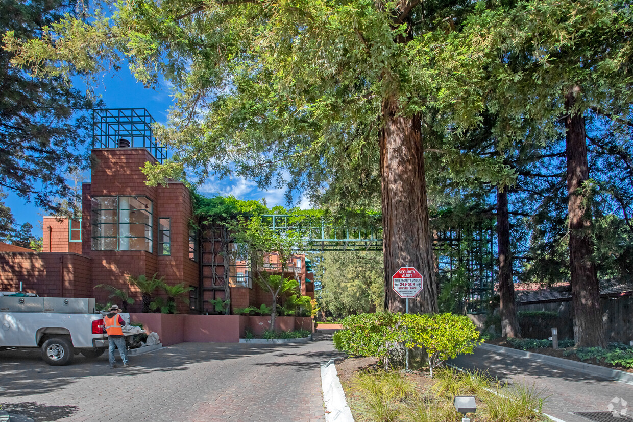 Building Photo - Palo Alto Redwoods