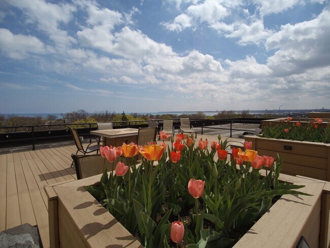 Foto del interior - Lake Summit