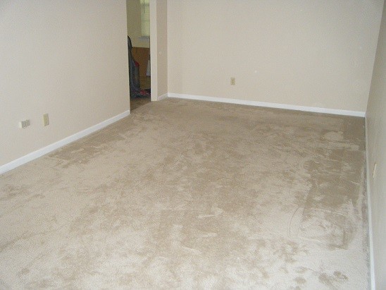 Building Photo - 819 Waterfield Dr