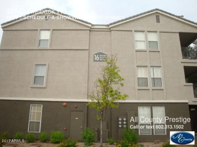 Apartments For Rent On Camelback Rd In Phoenix Az Apartments For Rent On Camelback Rd In Phoenix Az
