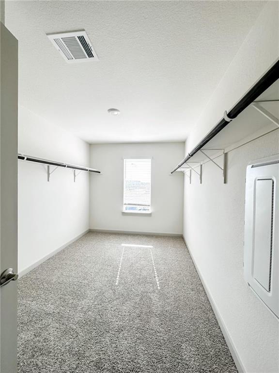 Foto del edificio - 214 New Hampton Wy