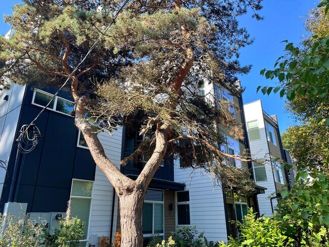 Foto del edificio - 9257D Ashworth Ave N