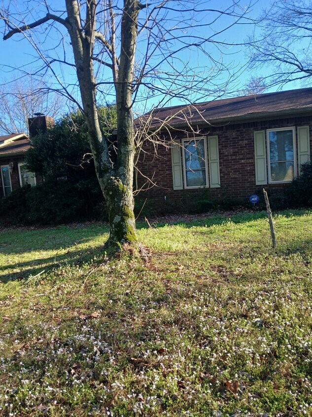 Outside of the house - 100 Old Highway 64