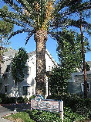 Building Photo - 11038 Arminta St