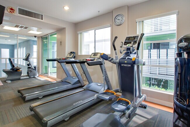 Park Catalina Apartments - Los Angeles, CA | Apartments.com