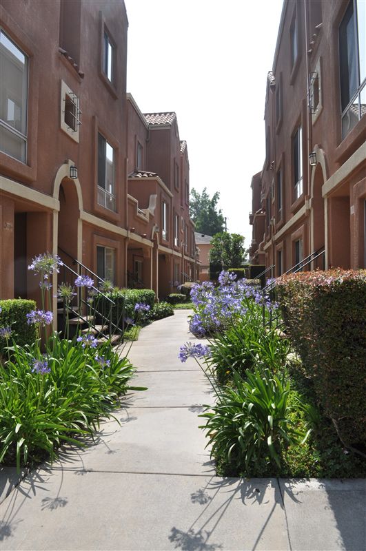 115 E Broadway, San Gabriel, CA 91776 Condo for Rent in San Gabriel