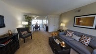 This single-story space showcases an open-concept floor plan that seamlessly connects the living and dining areas into one cohesive, functional environment. The living area is anchored by a plush, neutral-toned carpet that extends throughout, creating a warm and inviting atmosphere. A comfortable gray sofa adorned with patterned accent pillows serves as the centerpiece, complemented by a sleek dark-wood coffee table and a coordinating accent chair. Decorative table lamps add a warm ambient glow to the space.

The dining area is positioned near a generous bank of windows, allowing natural light to pour in and illuminate the room. A ceiling fan overhead provides both light and airflow to this area. A tall potted plant adds a lively, organic element near the window, enhancing the connection between indoors and the outdoors visible beyond.

A set of bifold closet doors along one wall provides practical storage solutions. The textured ceiling adds subtle visual interest overhead. Overall, the space presents a comfortable, well-organized layout that balances everyday functionality with a warm, welcoming aesthetic.
