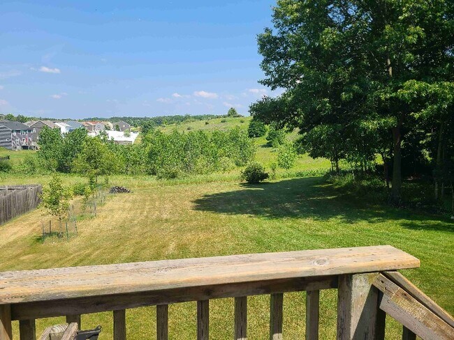 Foto del edificio - 717 Wild Flower Dr