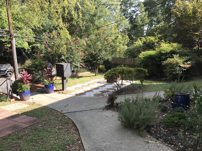 garden area - 848 Myrtle St NE