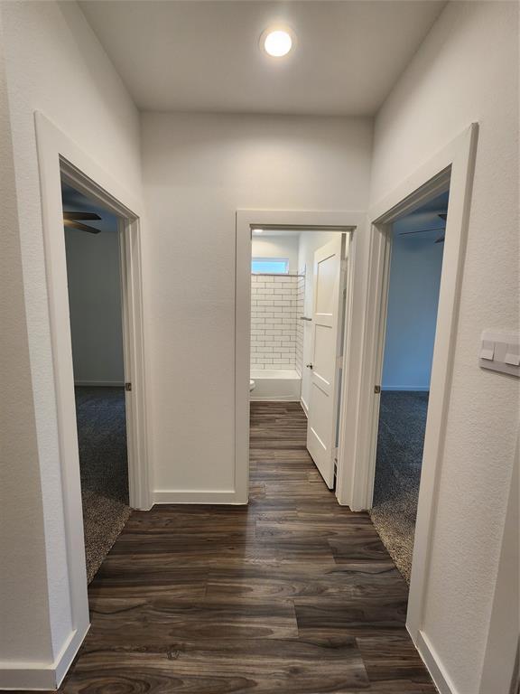Foto del edificio - 10319 Rainbow Cove Ln