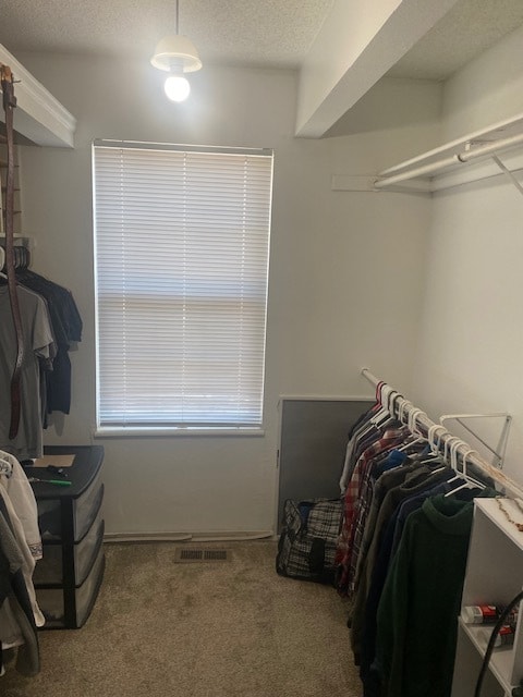 Master BR Walk-in Closet - 793 S Mobile St