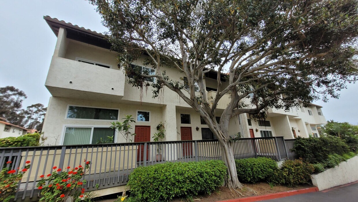 Primary Photo - LA JOLLA - La Jolla Village Tennis Club- N...