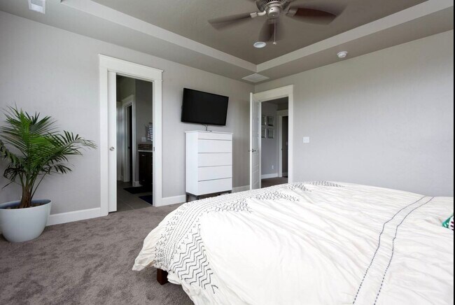 Maestro - 517 W Cagney St