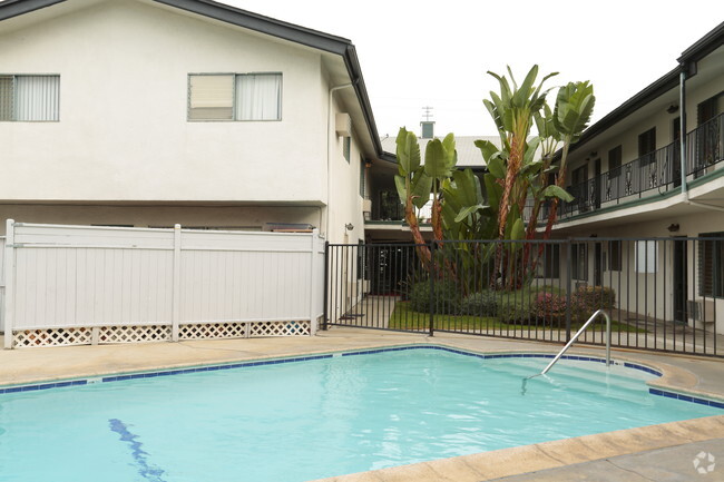 Piscina - Walnut Street Apartments