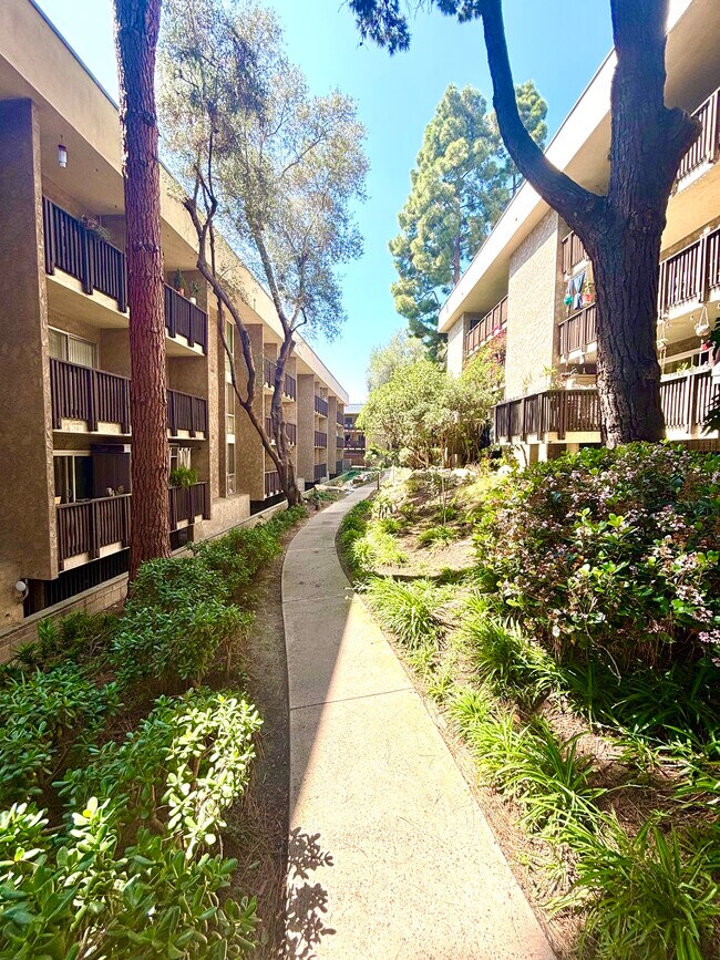 Foto del edificio - 6202 Friars Rd