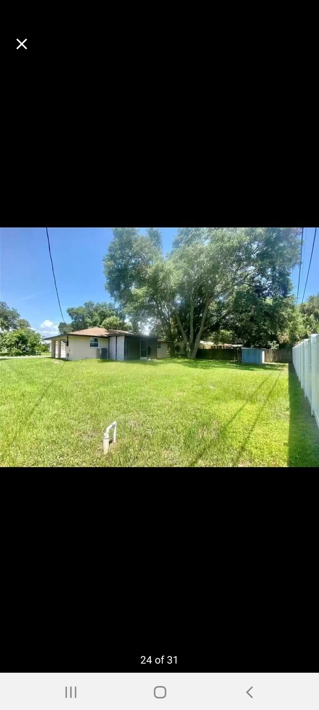 Back yard - 181 Dartmouth Rd