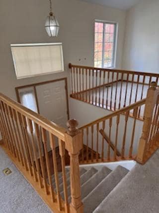 Building Photo - 61 Cantal Ct