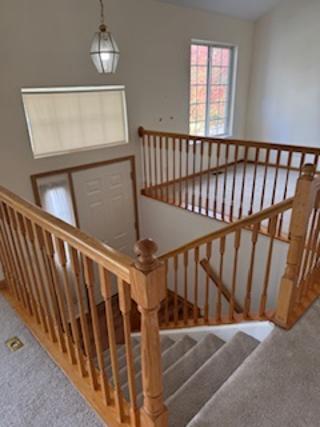 Foto del edificio - 61 Cantal Ct